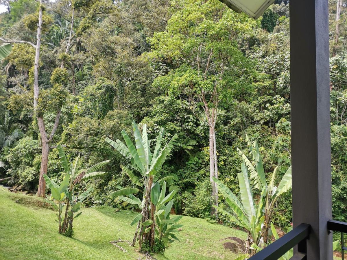 Sementra Hot Spring Nature Resort Gopeng Exterior foto